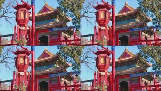 中国红宫灯随风摇摆高清在线视频素材下载