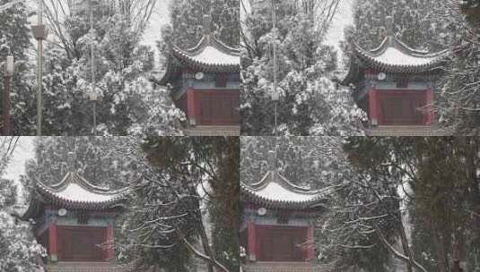 护国兴教寺雪景 寺院  唐三藏寺院高清在线视频素材下载