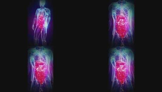 一个人和肠道的概念垂直3D动画高清在线视频素材下载