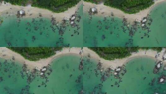 海南文昌海边椰林高清在线视频素材下载
