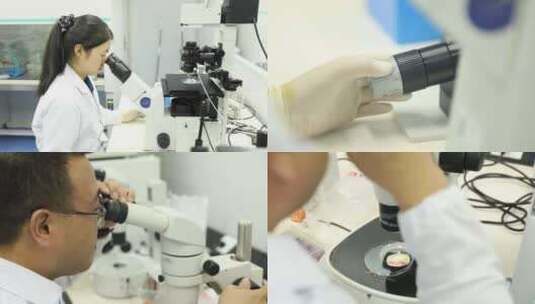 科研人员使用显微镜科研实拍高清在线视频素材下载