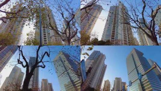 透过树枝叶子仰望高楼大厦城市风景视频素材高清在线视频素材下载