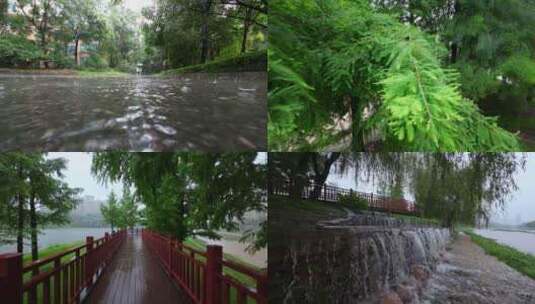 雨天小区公园河边和木栈道4K120P高清在线视频素材下载