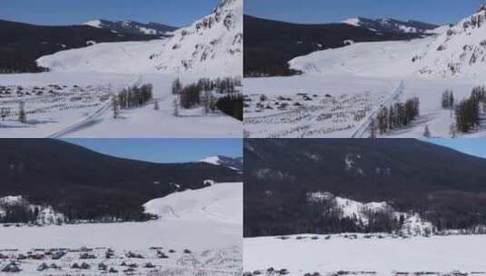 航拍新疆冬季喀纳斯河流晨雾雪山森林雪景高清在线视频素材下载