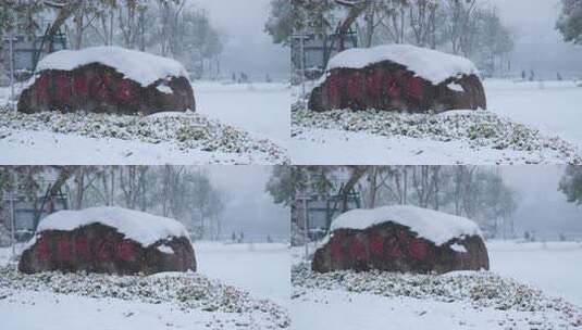 武汉江汉区菱角湖公园雪景高清在线视频素材下载