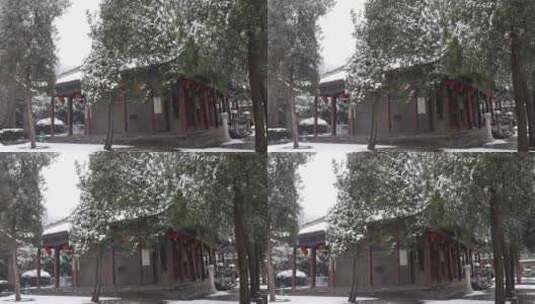 护国兴教寺雪景 寺院  唐三藏寺院高清在线视频素材下载