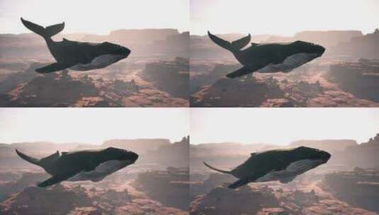 一只大鲸鱼漂浮在空中高清在线视频素材下载