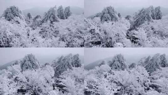 4K航拍天目山脉龙王山雾凇雪景风光高清在线视频素材下载