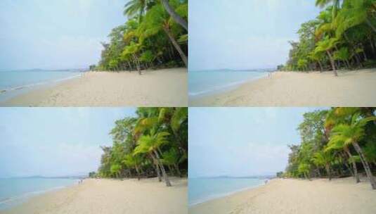 海边沙滩椰树高清在线视频素材下载