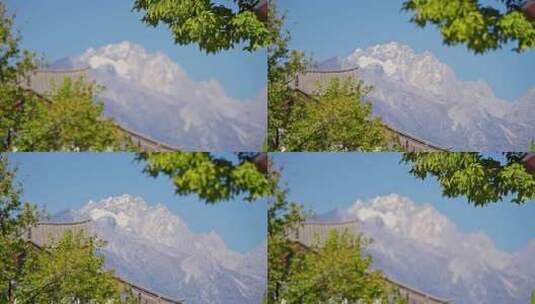 云南丽江玉龙雪山与随风飘动的树木高清在线视频素材下载