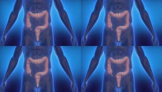 胃肠 肠胃蠕动 消化系统高清在线视频素材下载