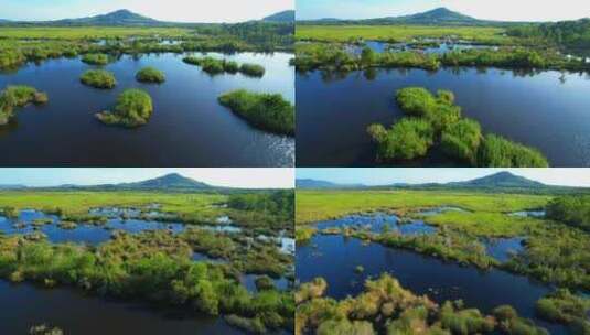 湿地景观的鸟瞰镜头。4K高清在线视频素材下载