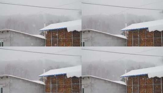 慢动作东北下雪，雪景，雪花高清在线视频素材下载