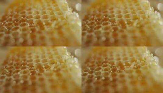 蜂蜜蜜蜂中蜂高清在线视频素材下载