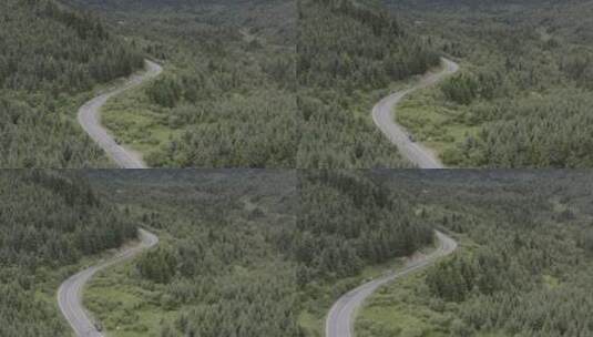 原始森林里的公路 3高清在线视频素材下载