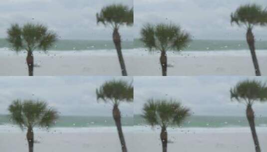 遭受风暴的海滩景观高清在线视频素材下载