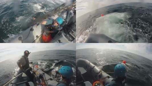 努力从渔具上解开座头鲸高清在线视频素材下载