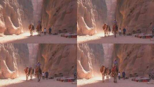 行走在峡谷间的骆驼高清在线视频素材下载
