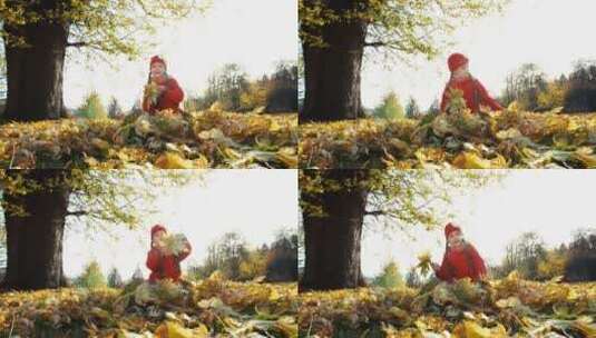 女孩在公园里收集秋叶高清在线视频素材下载
