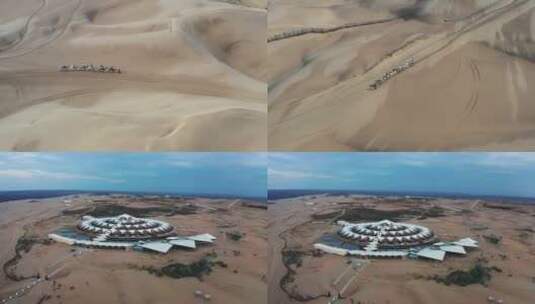 内蒙古响沙湾骆驼高清在线视频素材下载