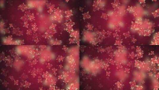唯美暗红色长寿花粒子背景视频高清在线视频素材下载