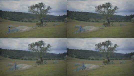 一名女子在田野中为一棵树拍照高清在线视频素材下载