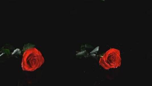 玫瑰在桌子上溅起水花高清在线视频素材下载