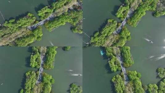 96 航拍 杭州 西湖 杨公堤 桥高清在线视频素材下载