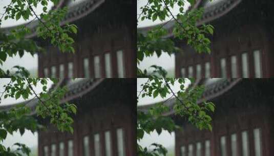 189 杭州 风景 古建筑 下雨天 亭子 树枝高清在线视频素材下载