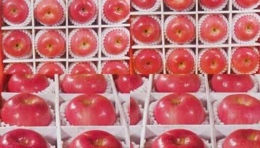 烟台红富士苹果高清在线视频素材下载