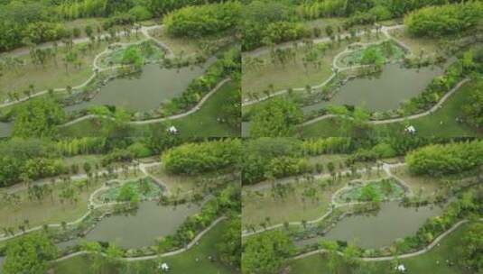 上海植物园航拍品种绿色植被4K航拍高清在线视频素材下载