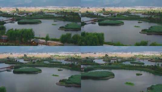 大理喜洲污水净化湿地航拍高清在线视频素材下载