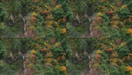 航拍秋天彩林瀑布自然风景高清在线视频素材下载