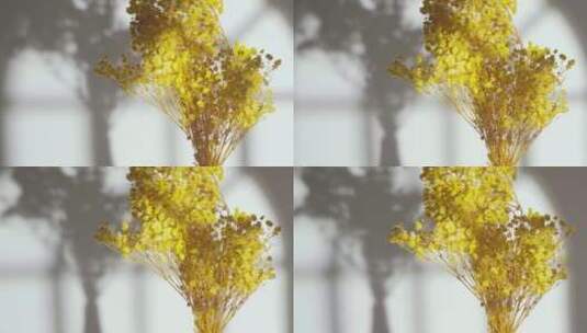 黄色干花和墙面上的光影移动高清在线视频素材下载