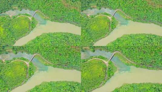 森林山脉溪流溪水俯拍下降高清在线视频素材下载