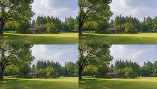 蓝天白云阳光草地绿树林延时拍摄高清在线视频素材下载