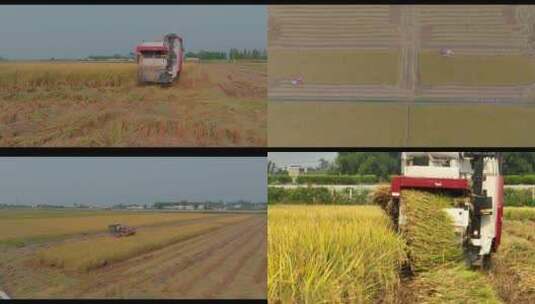 水稻收割航拍高清在线视频素材下载