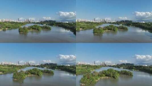 4K深圳南山区华侨城湿地公园航拍高清在线视频素材下载