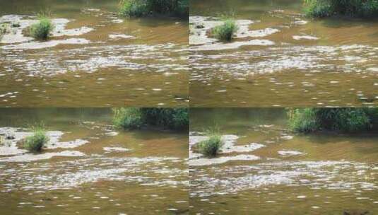 湍急河水 波浪 洪水 绿水 白水花高清在线视频素材下载
