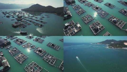 海水养殖4K航拍高清在线视频素材下载