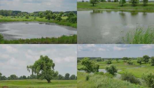 湿地河流辽河七星湿地草原草场树木高清在线视频素材下载