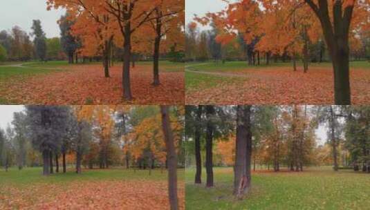 美丽的秋天公园高清在线视频素材下载