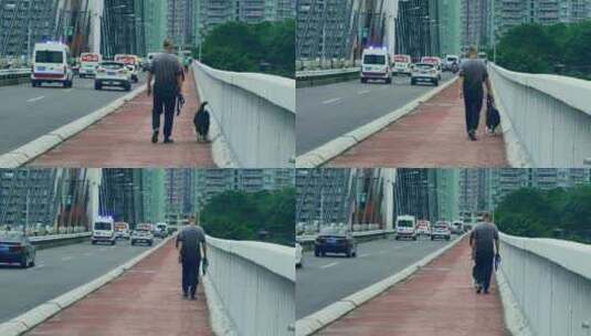 大桥上行走的男人和狗高清在线视频素材下载