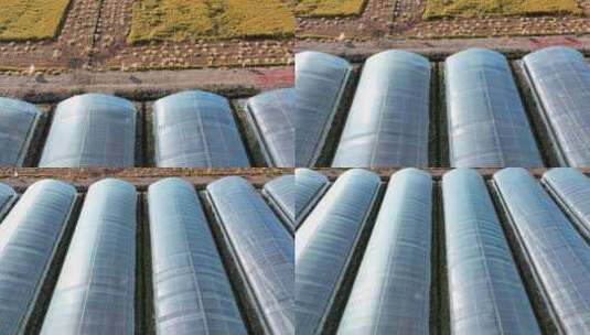 大棚种植基地航拍高清在线视频素材下载