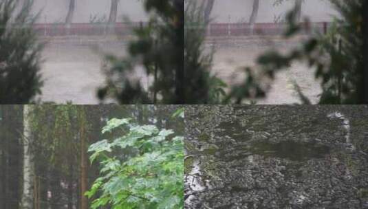 唯美春雨下雨雨天空镜头高清在线视频素材下载