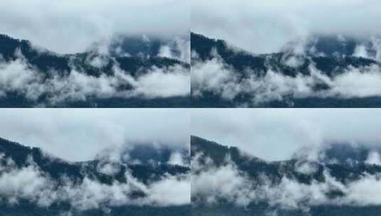 【4K】武夷山云雾自然风光山水画飞鸟高清在线视频素材下载