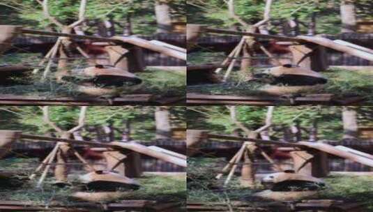 大熊猫吃竹子8K竖屏实拍高清在线视频素材下载
