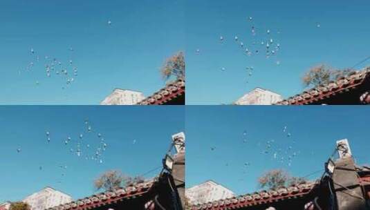 北京胡同里的鸽子高清在线视频素材下载