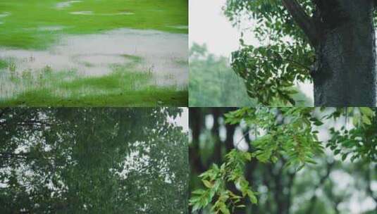 狂风暴雨 下雨   暴雨 草地 河流 夏天暴雨高清在线视频素材下载