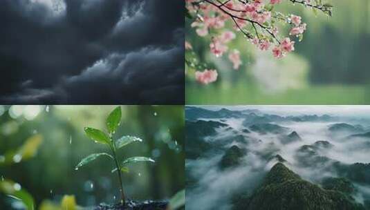 唯美下雨天高清在线视频素材下载